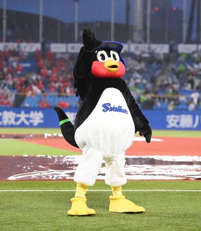 試合前、スタンドのファンに手を振るつば九郎＝神宮球場（撮影・開出牧）