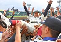 胴上げされる大阪桐蔭・西谷監督（撮影・中田匡峻）
