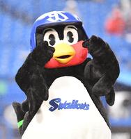 グラウンドに登場しポーズを決めるつば九郎（撮影・開出牧）