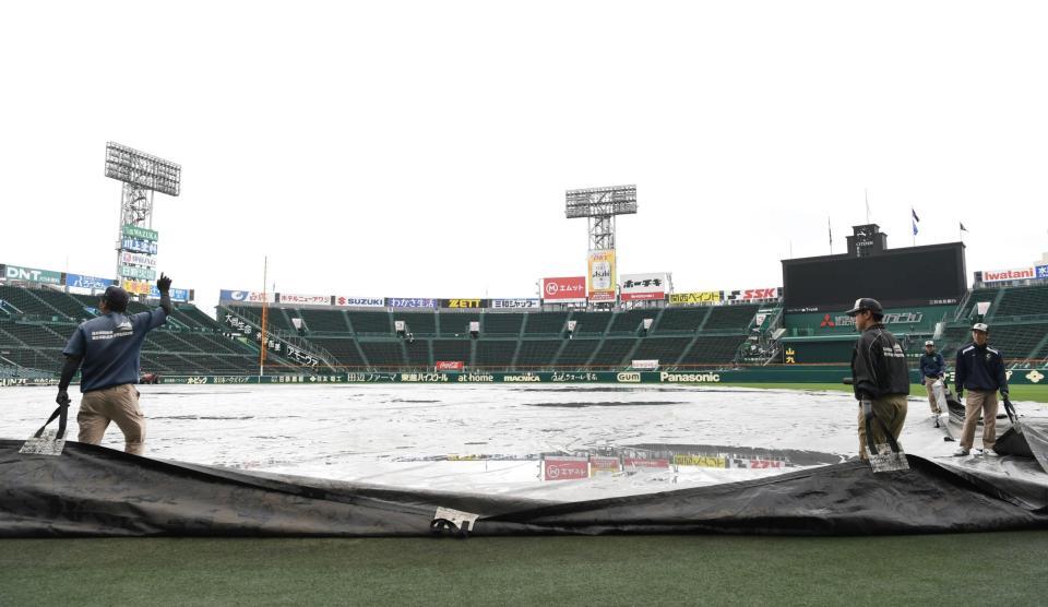 グラウンドのシートを上げる阪神園芸のスタッフ（撮影・高部洋祐）