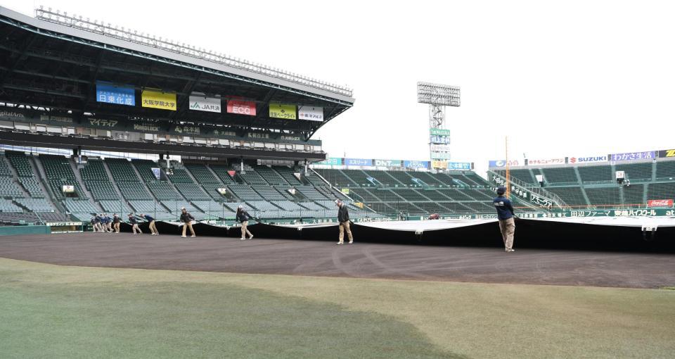 グラウンド整備をする阪神園芸のスタッフ（撮影・高部洋祐）