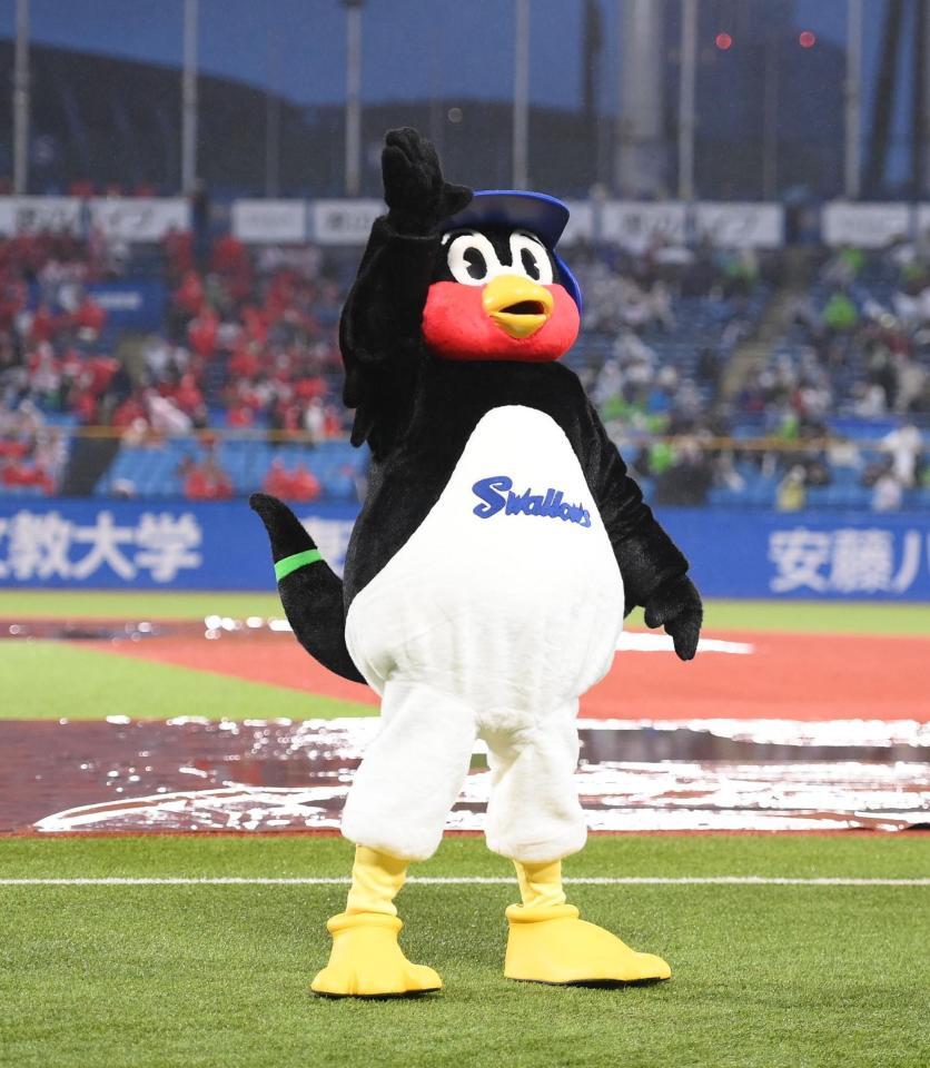 試合前、スタンドのファンに手を振るつば九郎＝神宮球場（撮影・開出牧）