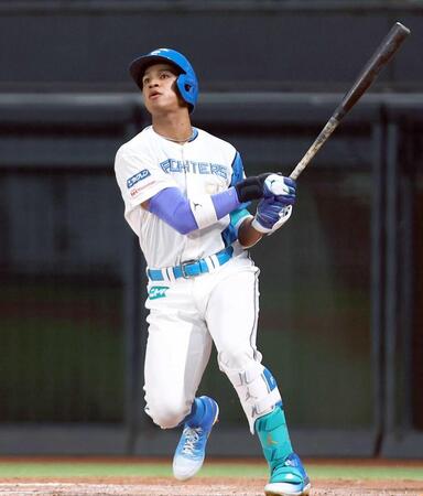 　６回、２ランを放つ万波（撮影・中島達哉）