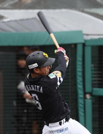 ４回、今宮は左前に適時打を放つ（撮影・佐々木彰尚）