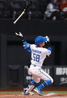 ２回、２ランを放つ奈良間（撮影・中島達哉）