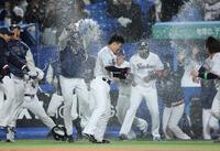 祝福される、サヨナラ内野安打を放った伊藤（中央）＝撮影・石井剣太郎