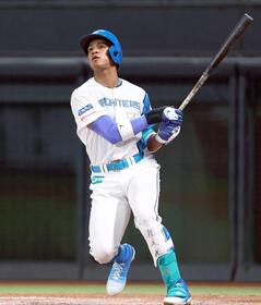 　６回、２ランを放つ万波（撮影・中島達哉）