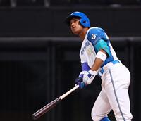 ６回、３ランを放つ万波（撮影・中島達哉）