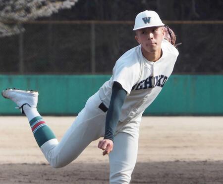 　力投する市和歌山・丹羽（撮影・山村菜々子）