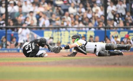 ９回、友杉のセーフティースクイズで一塁から三塁を狙うが、タッチアウトとなる小川（撮影・開出牧）