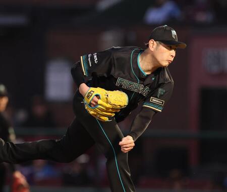 力投する加藤（撮影・金田祐二）