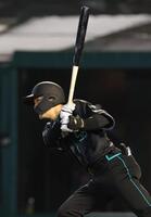 ６回、奈良間は中前に同点適時打を放つ（撮影・金田祐二）