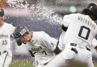 サヨナラ打を放ち、仲間の祝福を受ける西川（７）＝撮影・高部洋祐