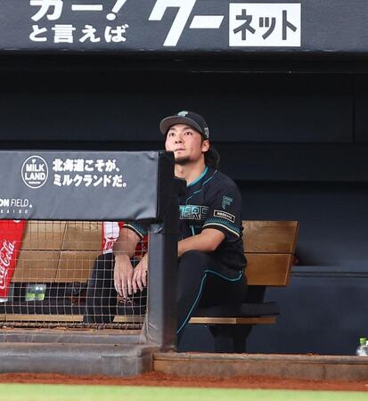 ６回途中で降板し、ベンチから戦況を見つめる伊藤（撮影・中島達哉）