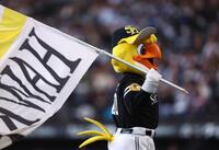 ラッキー７の前に登場したハリーホーク（撮影・中島達哉）