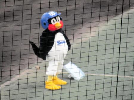 松山に登場したつば九郎