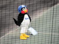 松山に登場したつば九郎