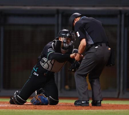 ５回、有隅球審のマスクの絡まりを手伝う田宮（撮影・中島達哉）