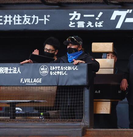 ６回、清宮幸の適時三塁打にベンチをたたいて喜ぶ新庄監督（中央）＝撮影・中島達哉