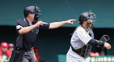 ヘルメットをかぶりジャッジをする下村球審（撮影・坂部計介）