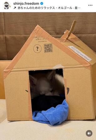 新庄剛志インスタグラム（ｓｈｉｎｊｏ．ｆｒｅｅｄｏｍ）より