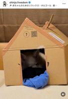 新庄剛志インスタグラム（ｓｈｉｎｊｏ．ｆｒｅｅｄｏｍ）より