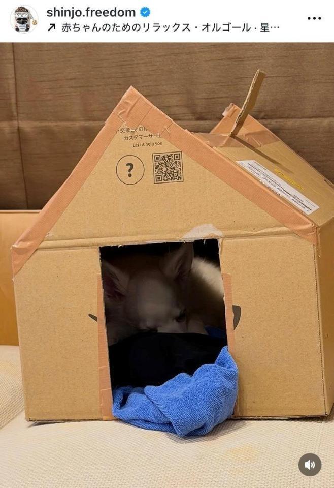 新庄剛志インスタグラム（ｓｈｉｎｊｏ．ｆｒｅｅｄｏｍ）より