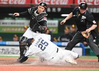 ４回、岸の中犠飛で生還するカナリオ（捕手・海野）＝撮影・園田高夫