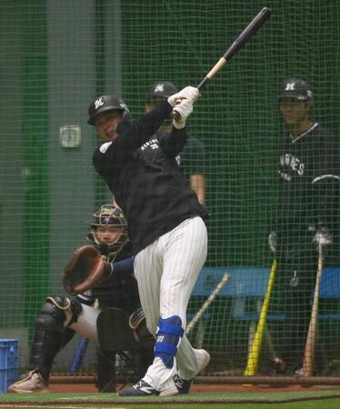 室内でフリー打撃を行う井上