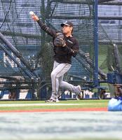 チームに合流し、雨の中をキャッチボールする梅野（撮影・西岡正）