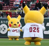 球場に遊びに来たピカチュウ（撮影・北村雅宏）