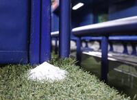 ベンチ前に盛られた清めの塩