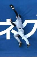 ５回、ヒュンメルの右飛を好捕する平山（撮影・佐藤厚）