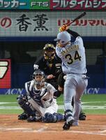 ８回、死球を受ける岡城（撮影・金田祐二）