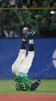 ９回、武岡は右越えにサヨナラ打を放ち、ナインから手荒い祝福を受け、ひっくり返る（撮影・佐藤厚）
