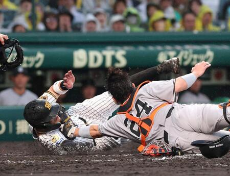 ４回、大山の投ゴロで本塁を狙うもアウトになる佐藤輝（捕手・大城）＝撮影・西田忠信