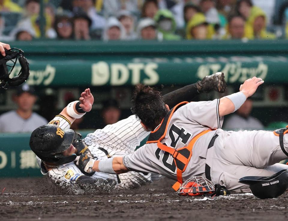 ４回、大山の投ゴロで本塁を狙うもアウトになる佐藤輝（捕手・大城）＝撮影・西田忠信
