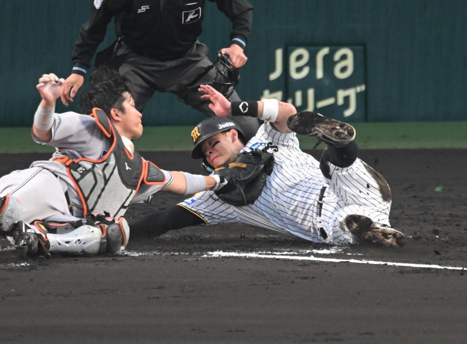 ４回、本塁を狙うもアウトになる佐藤輝（撮影・飯室逸平）