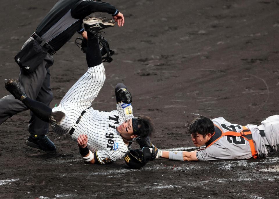 ４回、佐藤輝は大山の投ゴロで本塁に狙うもタッチアウトになる（捕手・大城）＝撮影・山口登