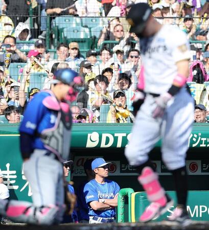 ６回、佐藤輝（右）にソロを許し、ベンチで腕組みする相川監督（撮影・西田忠信）