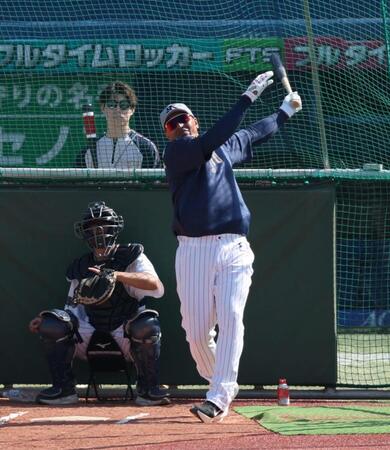 打撃練習するヤクルト・オスナ（撮影・金田祐二）