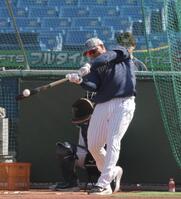 打撃練習するヤクルトのオスナ（撮影・吉澤敬太）