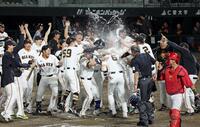 通算３００号となるサヨナラ３ランを放ちナインからの祝福を受ける坂本（６）＝撮影・立川洋一郎