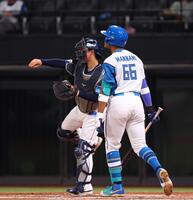 ７回、見逃し三振に倒れる万波（撮影・中島達哉）
