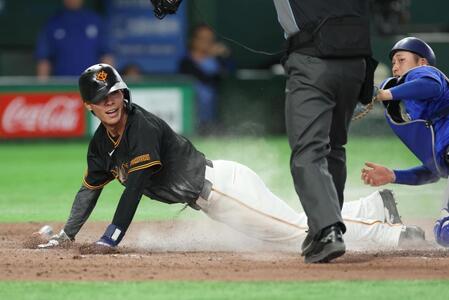７回、ダルベックの投ゴロで三走・平山が生還（撮影・金田祐二）