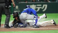 ７回、ダルベックの投ゴロで三走・平山が生還（撮影・金田祐二）
