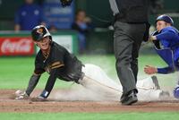 ７回、ダルベックの投ゴロで三走・平山が生還（撮影・金田祐二）
