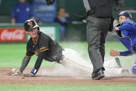 　７回、ダルベックの投ゴロで三走・平山が生還（撮影・金田祐二）