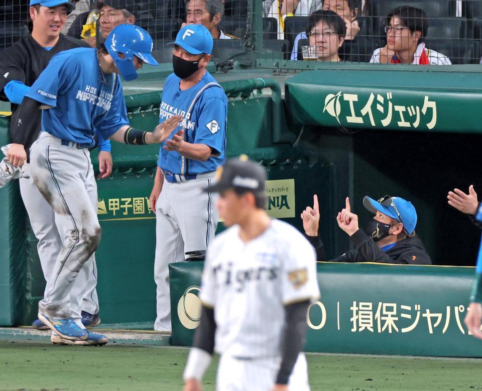 ３回、万波の適時打で生還した田宮を待ち受ける新庄監督（右）＝撮影・立川洋一郎