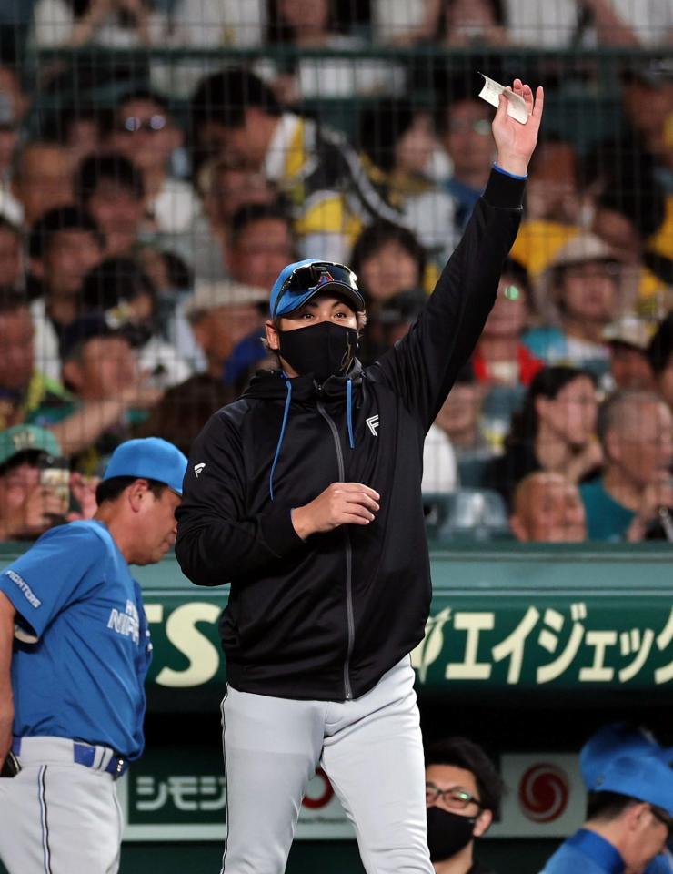 ８回、選手交代を告げに向かう新庄監督（撮影・山口登）